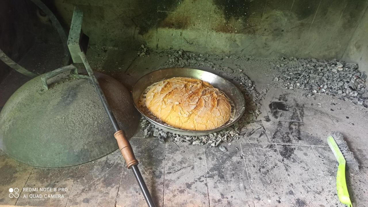 Green House Ριέκα Εξωτερικό φωτογραφία