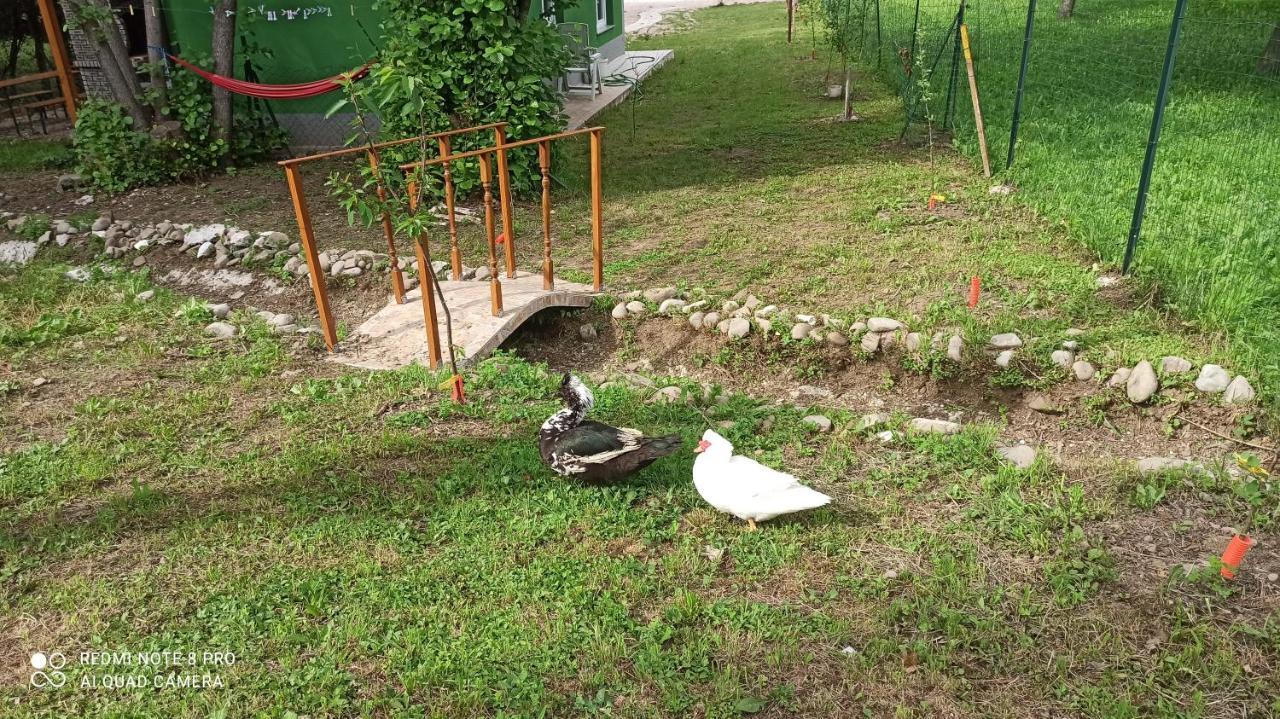 Green House Ριέκα Εξωτερικό φωτογραφία