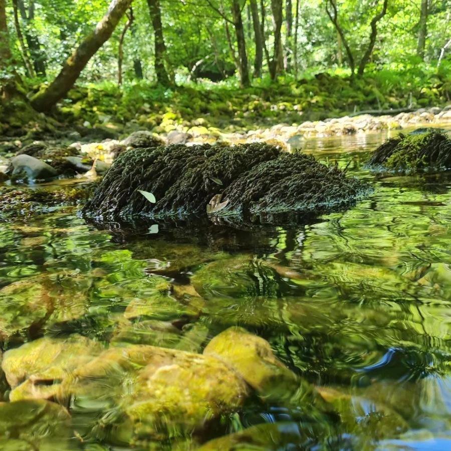 Green House Ριέκα Εξωτερικό φωτογραφία