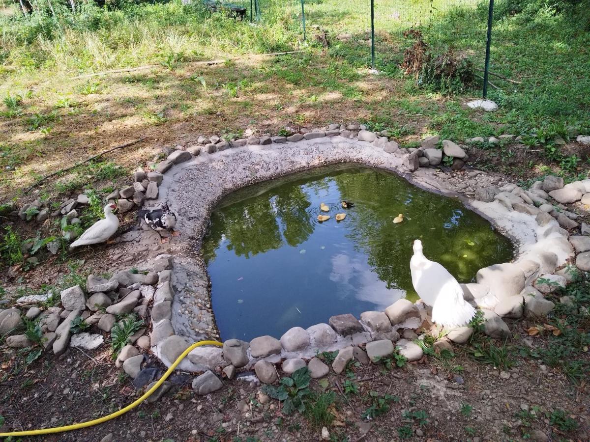 Green House Ριέκα Εξωτερικό φωτογραφία